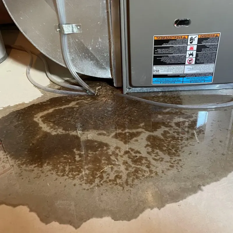 Pipe Burst and Leak Restoration in Park Ridge, IL